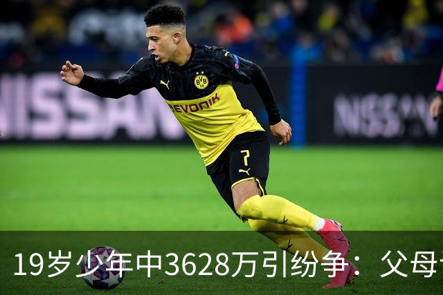 19岁少年中3628万引纷争：父母该拿走多少钱？